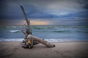 Lake Huron - 1 Bedroom, 1 Bath Lake Front Cabin (Sleeps 4)